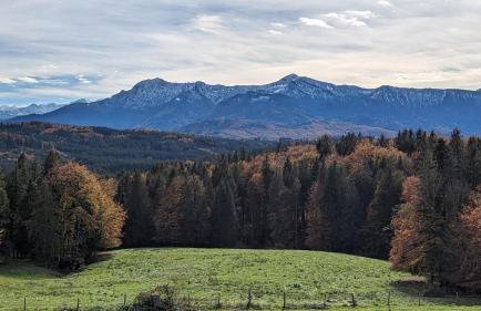 LIBORIA I Traumhafte Ferienwohnung in Aidling am Riegsee - Foto 31