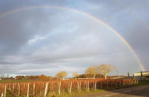 Gite 2min de Saumur - Photo 16