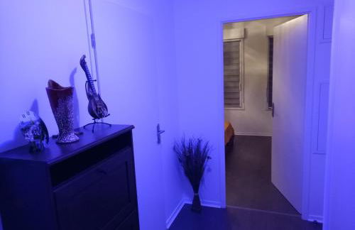 Bel appartement T2 près du lac avc un parking privé - Foto 8