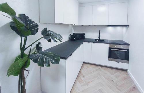 ALFA Stuttgart Doppelzimmer mit Teeküche und Terrasse Porsche Bosch l Gemeinschaftsbad WIFI SmartTV l Double room with kitchenette and terrace l shared bathroom BS21A5 - Foto 8