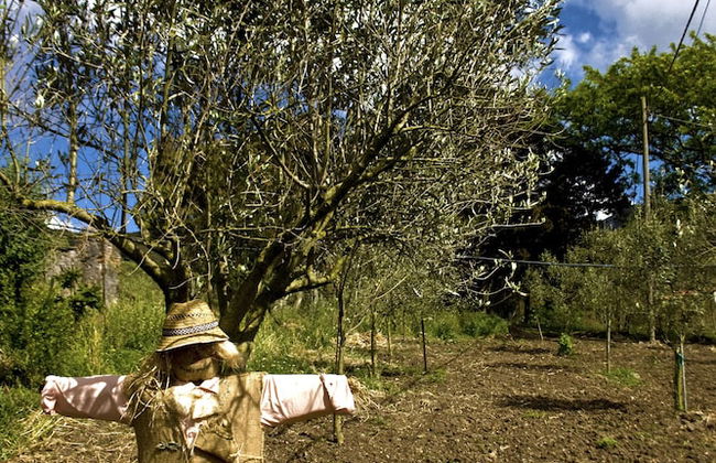 Agriturismo Sa Tanca - Photo 29