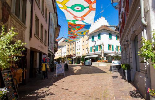 Löwe Apartment Gelb Tiengen Altstadt - Foto 12