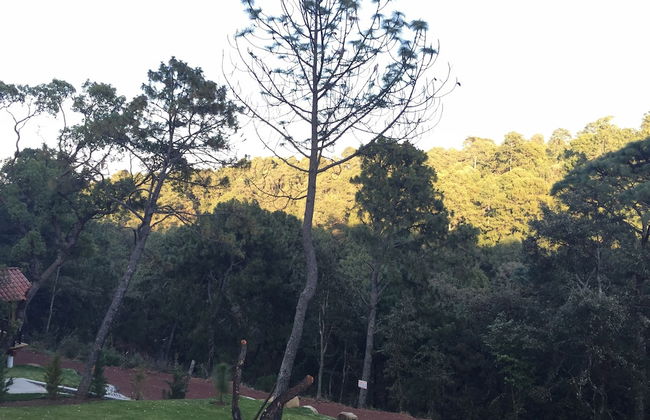 Bellavista Cabanas - Foto 34