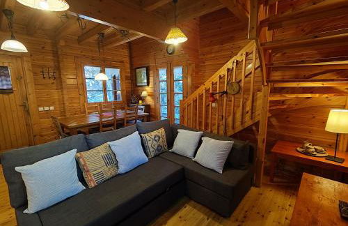 El Pi Solitari - Photo 13