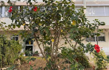 3 Room Apartment S Jõao Caparica - Foto 51