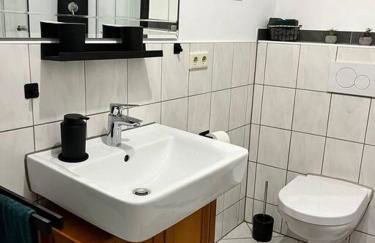 Rheinauszeit - Foto 14