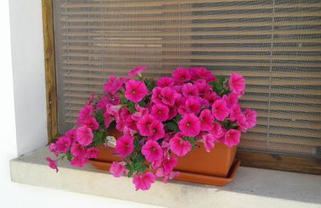 Casa vacanza Augusto - Foto 8