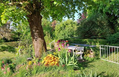 Cottage in Auvergne near Puy Mary - Foto 33