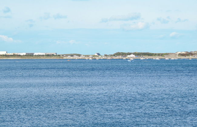 Les Oiseaux - Foto 19