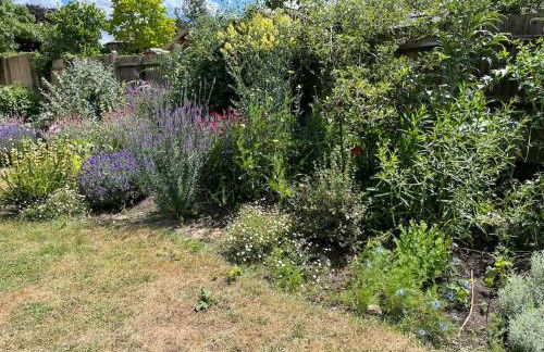 2 bed flat - SW London with parking - Foto 13