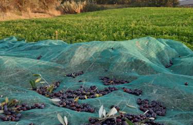 Agriturismo Il Gelso - Foto 37