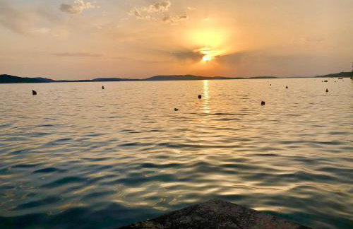 Perla & Palma - Foto 24