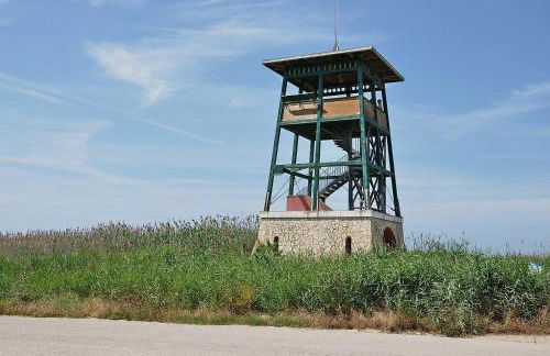 Deltafamily ¡ barbacoa,piscina, wifi Chromecast !! - Foto 46