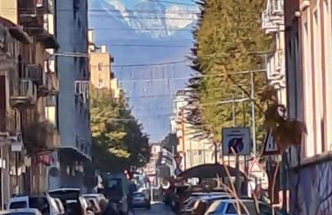 Musa Paradisiaca 6, un angolo tropicale a Torino - Foto 28