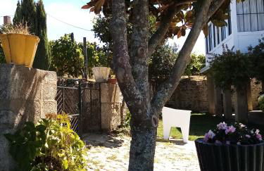 Solar dos Avós - Foto 15