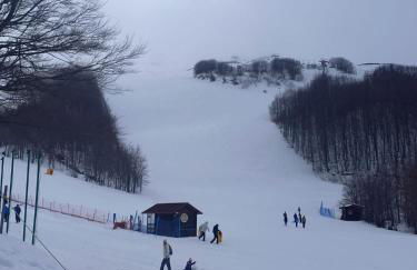 La Tana dei Tassi - Foto 4