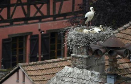 Le gîte de Vitazensel - Foto 31