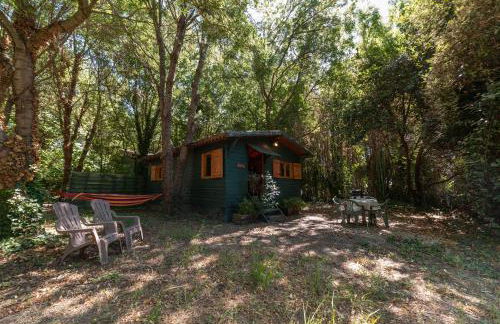 Gite Du Mas De L'horte Gafet - Foto 3