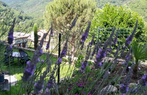 gite que canta - Photo 21