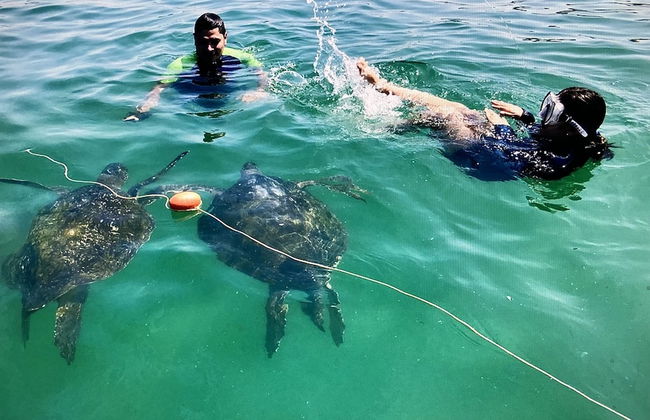 Bella casa en la playa de Canoas de PS - Foto 13