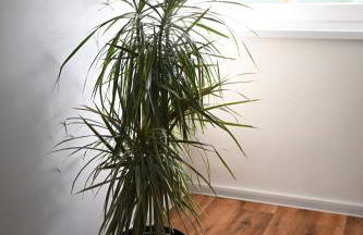 Ferienwohnung Siegen - Foto 30