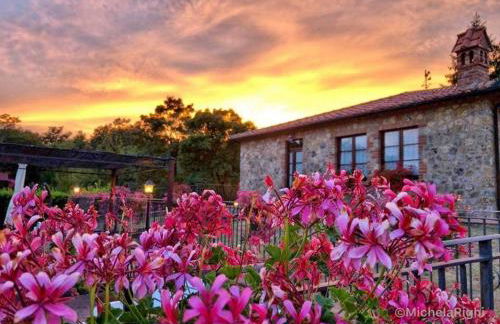 Agriturismo La Quercia - Foto 17