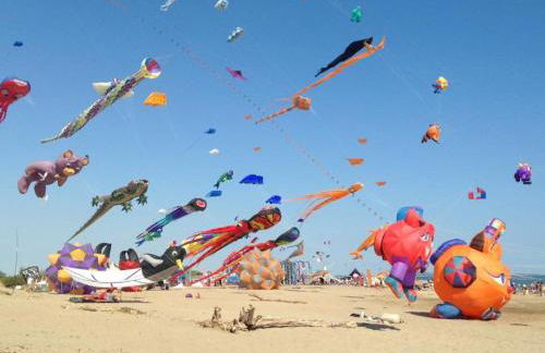 Belle villa 2 chambres, 5 couchages, jolie terrasse avec vue sur reserve, dans residence securisee avec piscine commune 800 m de la mer LRCS76 - Foto 16