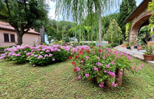 La rosa dei venti 'Scirocco' - Foto 14