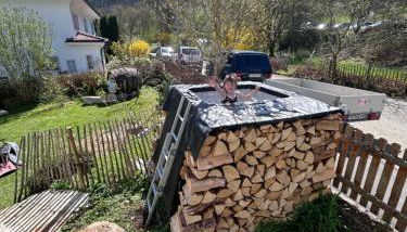 ZwergDackelAdlerHirsch - Foto 2