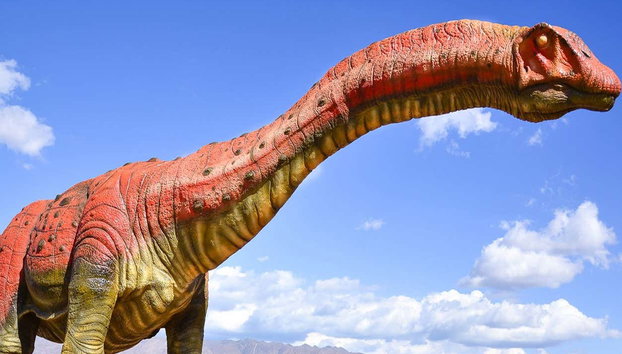 Sanagasta + Dinosaurs Park Tour - Photo 4