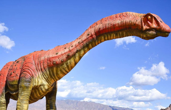 Sanagasta + Dinosaurs Park Tour - Photo 4
