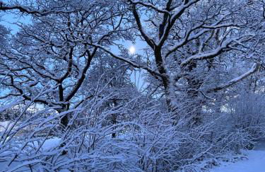 Ty Mawr, The Old School Holiday Homes - Pet Friendly - Foto 52