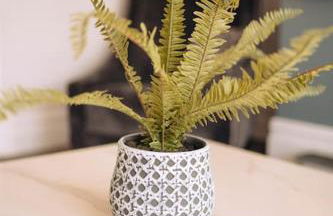 The Dunes, Lytham St Annes - Foto 24