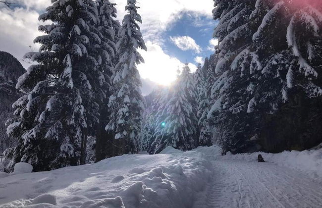 Spacious Holiday Home in Goldegg near Ski Area - Photo 29