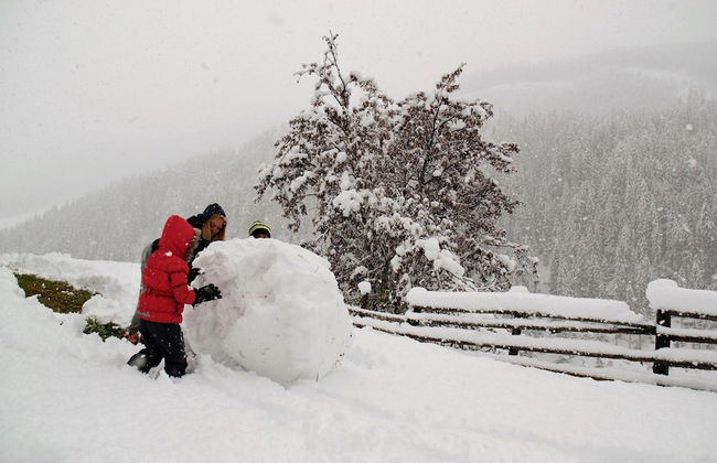 Premium Chalet in Innerkrems With Sauna - Foto 21