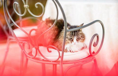 Poggio Antico - Suites and Breakfast - Foto 100