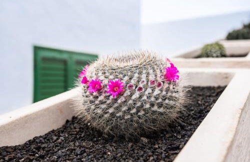 Casa volcán de caldera blanca - Foto 57