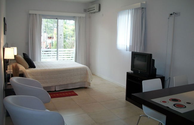 Avutarda de Carilo - Photo 6