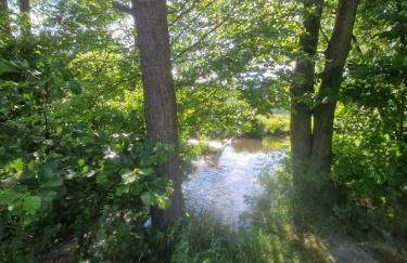 Ferienhaus am Bach - Foto 53