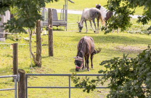 Beim Danner - Foto 49
