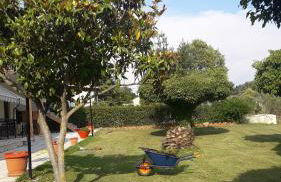 Olive mare Holidays - Foto 42