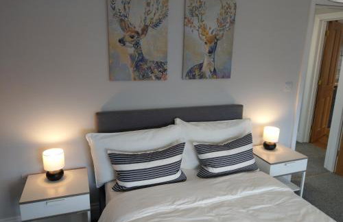 27 High Street Apartments - Photo 23