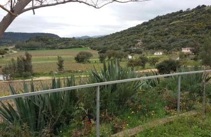 Agriturismo Su Solianu - Foto 40