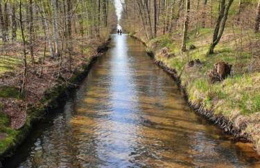 Traumhaftes Reetdachhaus "Grote Eken" in der Lüneburger Heide - Foto 40