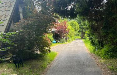 Studio Gościnne ANTEK - Foto 21