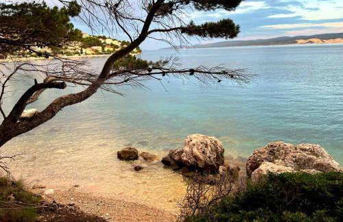 Apartments Domani - Foto 28