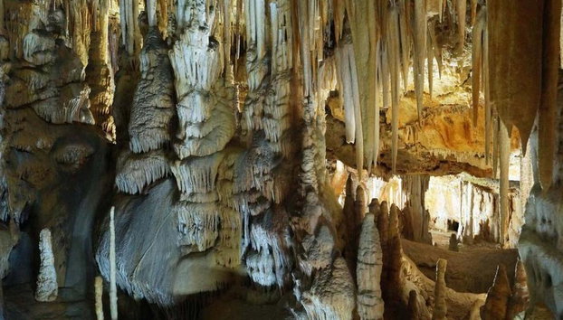 Admission Tickets to the Caves of Campanet: Nature and Magic - Foto 4