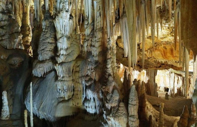 Admission Tickets to the Caves of Campanet: Nature and Magic - Foto 4