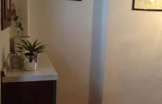 Vellutini Number One - Foto 63