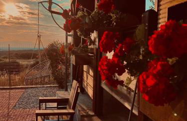 ΛΩΤΟΣ - Photo 27